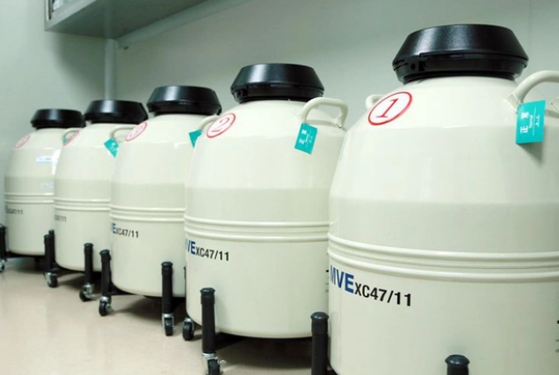 進(jìn)口液氮罐